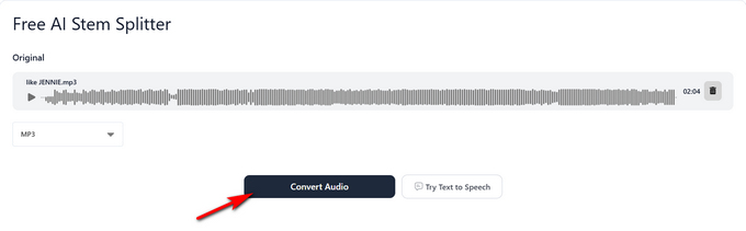 10 Click the Convert Audio button